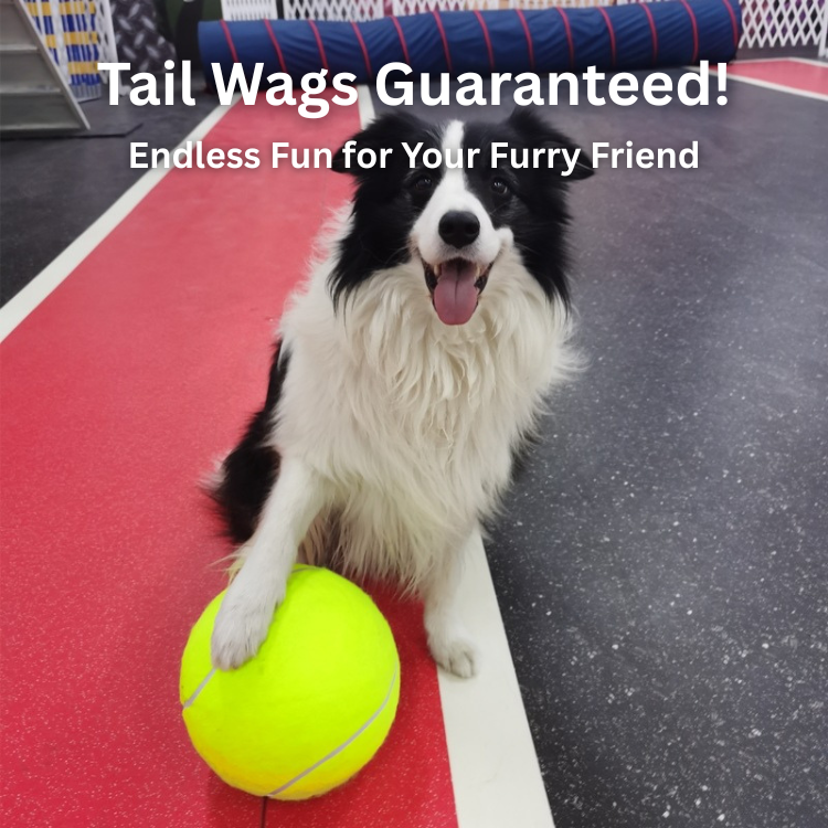 Pawvia™ - Jumbo Dog Tennis Ball