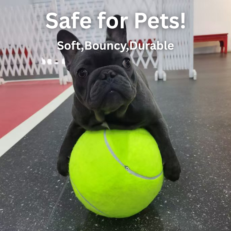 Pawvia™ - Jumbo Dog Tennis Ball